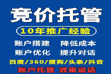 网络推广秘籍：竞价排名成功案例集锦